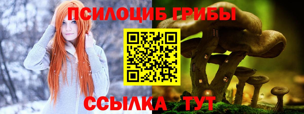 Псилоцибиновые грибы Cubensis  Галлюциногенные грибы Magic Shrooms  цена   Качканар  Вход с VPN 